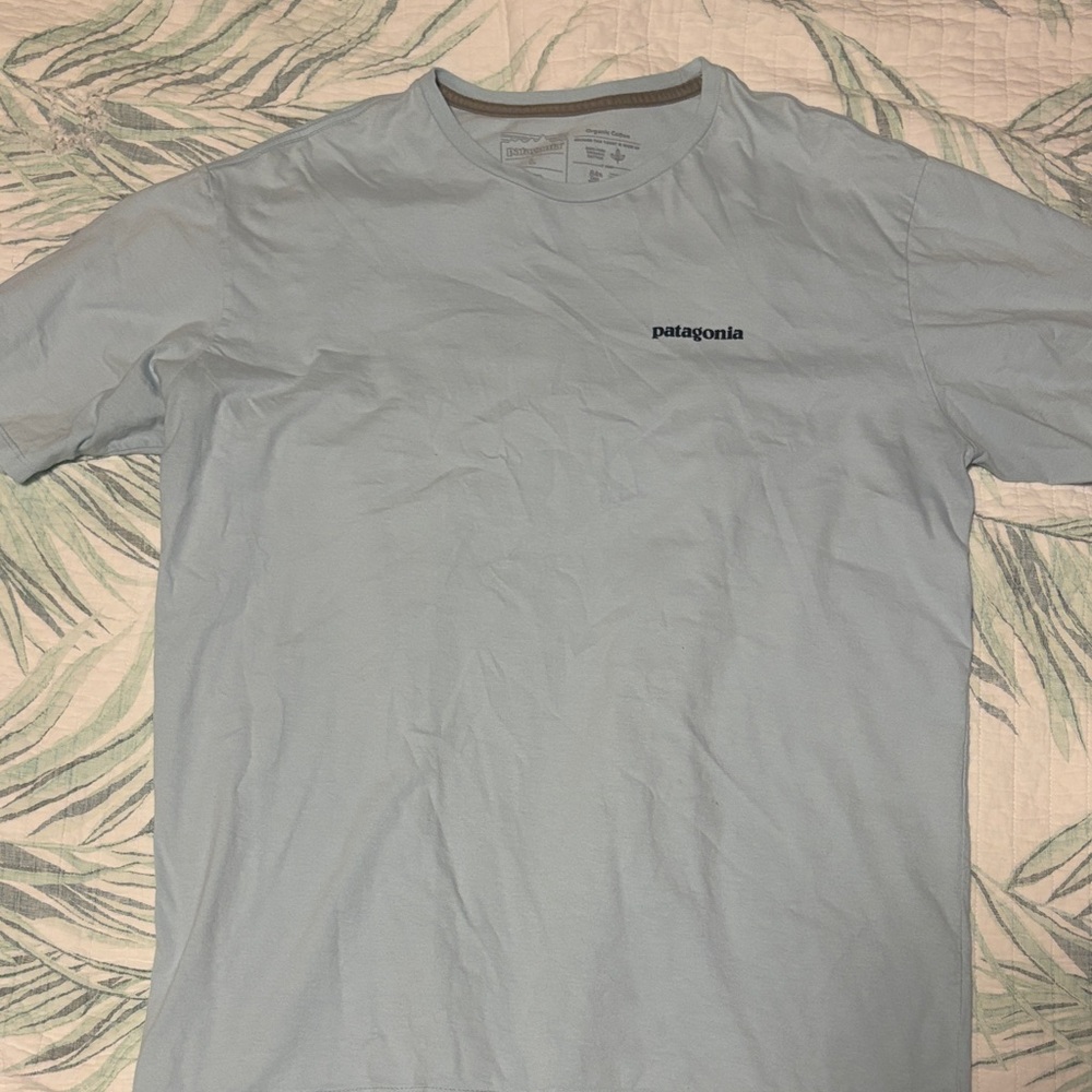 Patagonia Men's Sky Blue Short Sleeve Tee